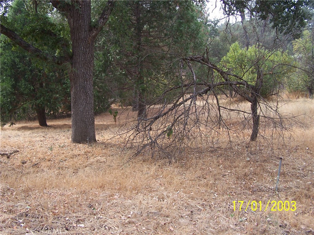 Great easy to build on lot with views, water, power and phone in the street. Good location with nice homes. Owner financing
