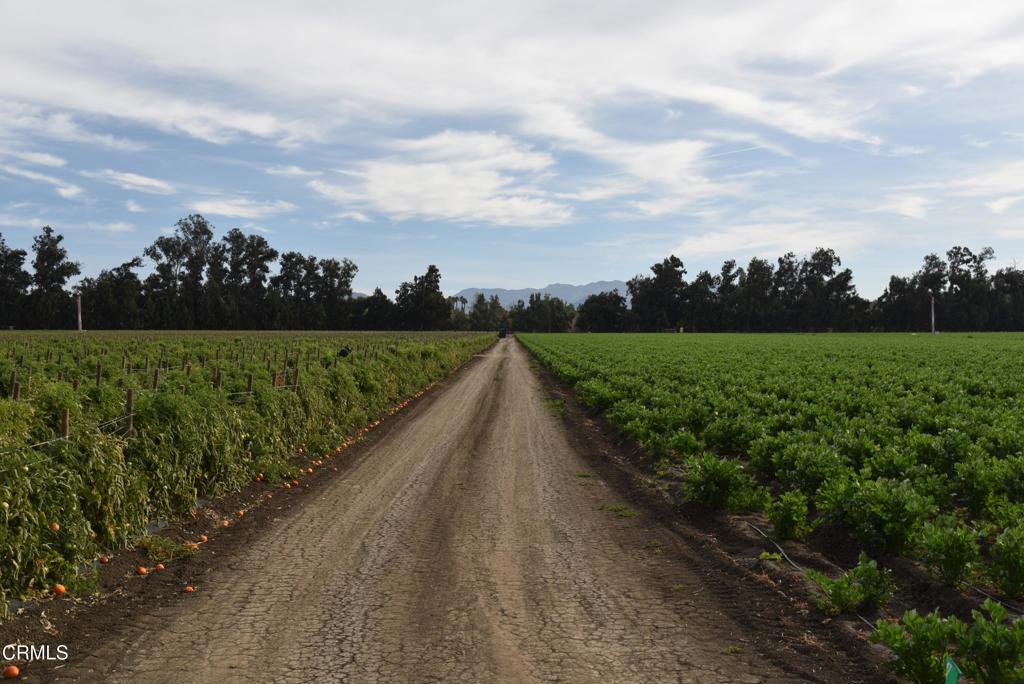 Not Applicable - Land