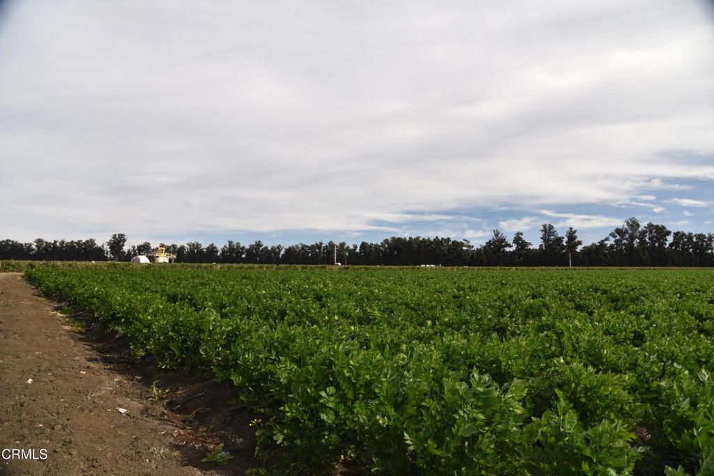 Not Applicable - Land