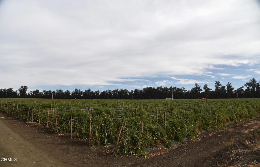 Not Applicable - Land