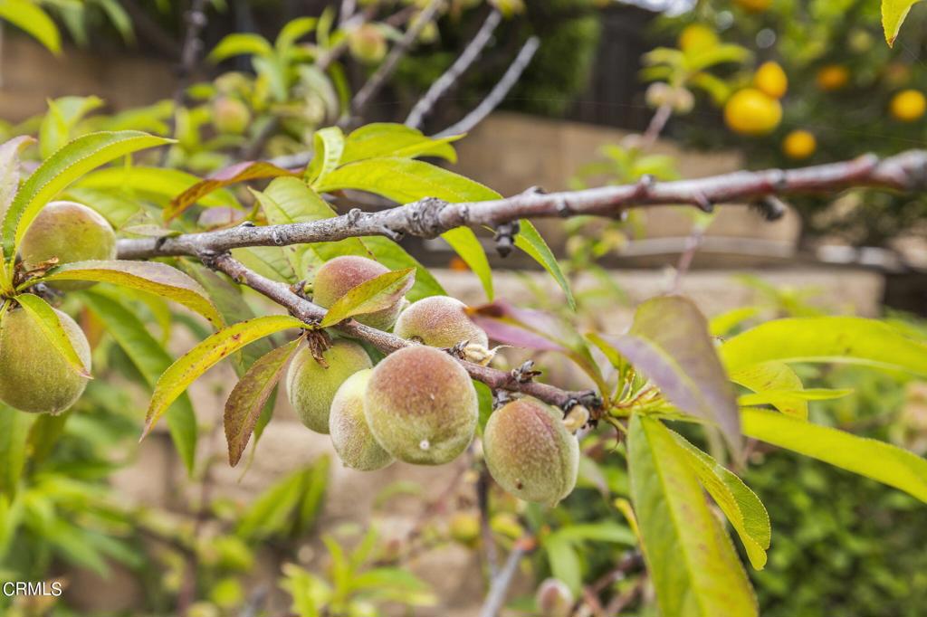 Lomita Mesa 3 - 239002 - Residential