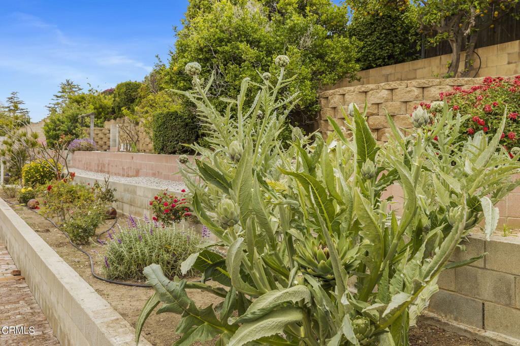 Lomita Mesa 3 - 239002 - Residential