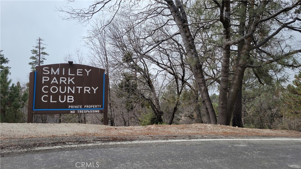 Ready to build your mountain cabin? Be sure to check out this beautiful spot in the Smiley Park area of Running Springs. Located one turn off of Hwy 330 for super easy commuter access, you can enjoy being a world away while living just 20 minutes from the bottom of the hill. This large lot is in a Homeowners Association that affords residents use of a community pool and clubhouse and a tight knit community of neighbors who enjoy festivities from Easter Egg hunts to 4th of July golf cart parades.
This parcel is perfect for designing and building a level entry home with a filtered valley view. You'll enjoy abundant wildlife strolling in your yard. This is the place to start making memories! Please note that homes in this area will need to have septic system and propane installed, minimizing your reliance on public utilities.