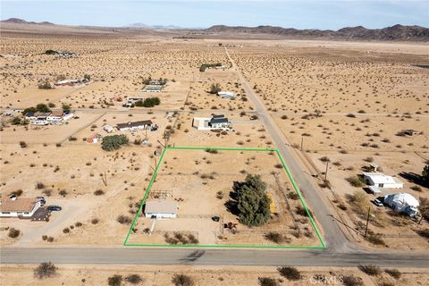 A home in Joshua Tree