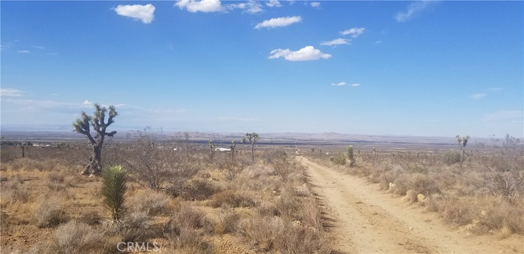 Beautiful Foothill area of Llano. South of Fort Tejon Road. Investment parcel or ranch site.