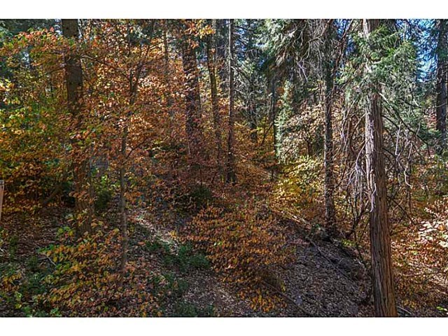 Sky Forest - Residential