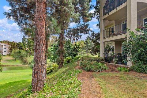 A home in Laguna Woods