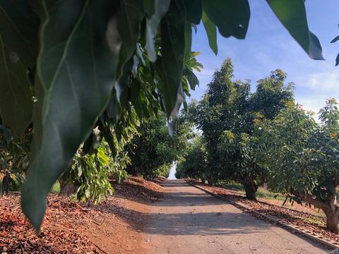 Photo of 1313 Rice Canyon Rd Rd, Fallbrook, CA 92028 (MLS # NDP2410465)