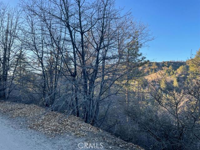 Cedar GlenMap - Land