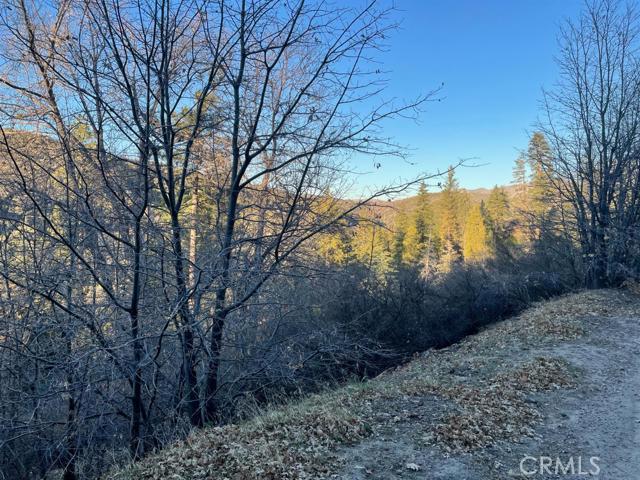 Cedar GlenMap - Land