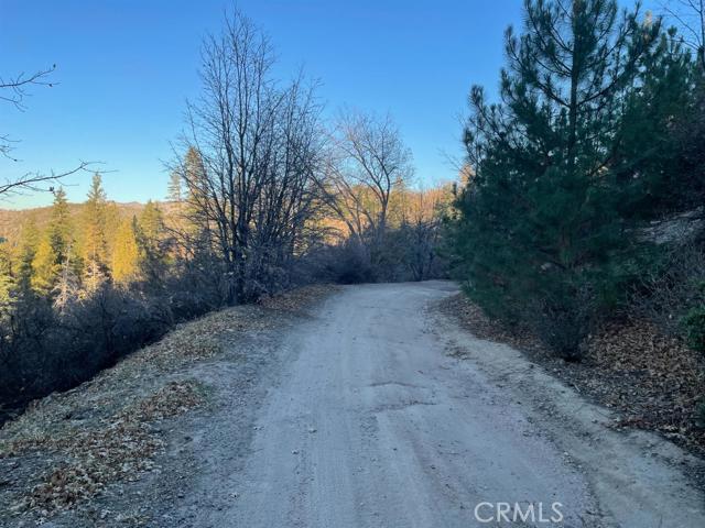 Cedar GlenMap - Land