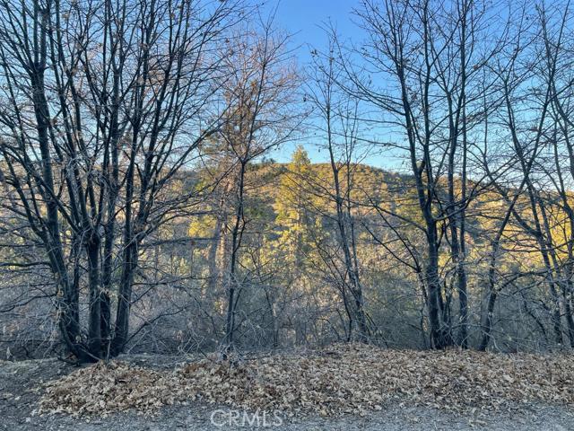 Cedar GlenMap - Land