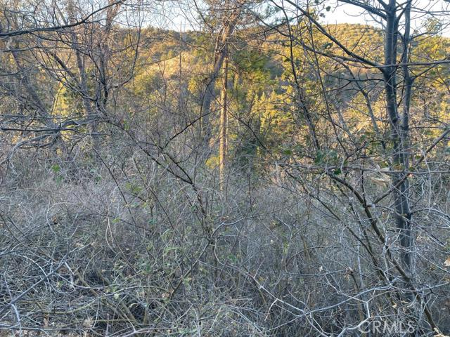 Cedar GlenMap - Land