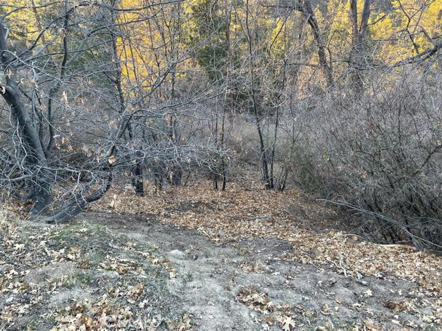 Cedar GlenMap - Land