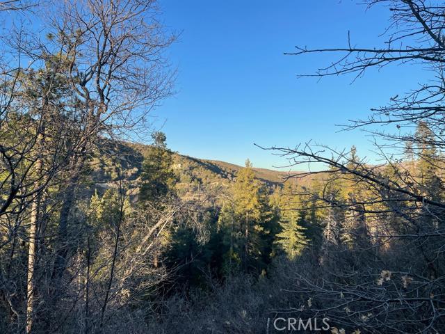 Cedar GlenMap - Land