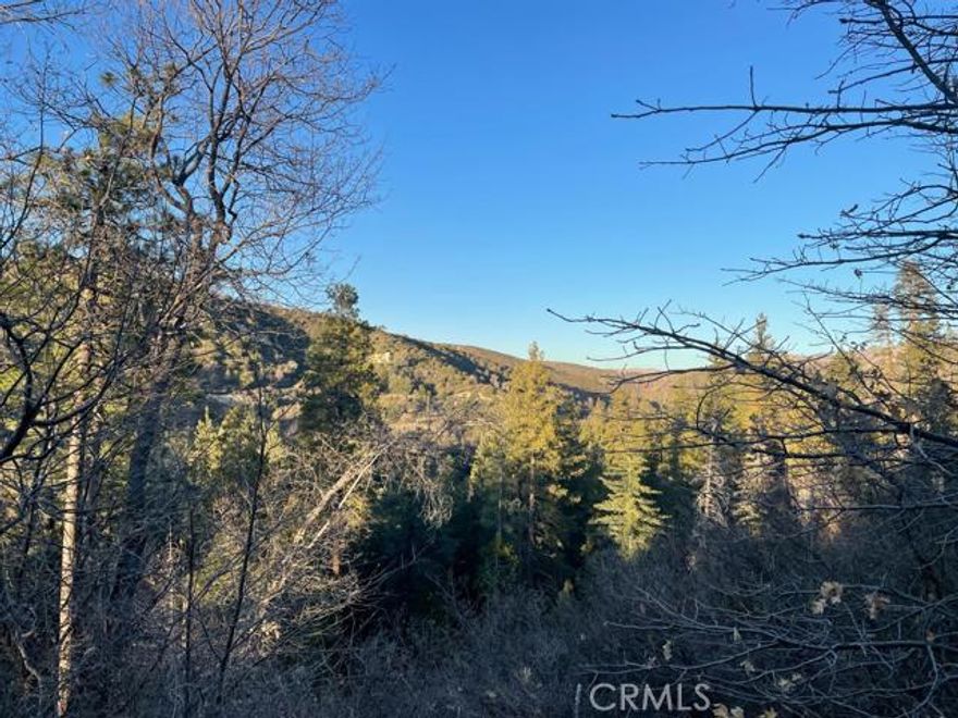 8,000 square foot, down-sloping parcel with amazing desert and valley views! Located in the mountain community of Cedar Glen, just 5 minutes to the shops and restaurants in town and just 15 minutes to the Lake Arrowhead Village. Power and water are at the street but buyer should confirm the distance to utilities with the San Bernardino County Special Services District (for water) and SoCal Edison respectively. Very private, secluded area just a short drive to the hiking and off-roading trails at Deep Creek. Feel free to drive on by 34.261129 -117.158348!