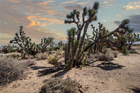 A home in Yucca Valley