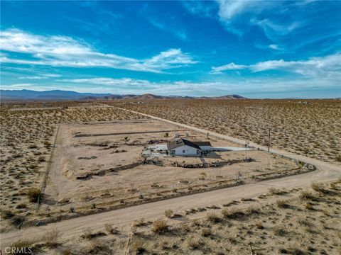 A home in Joshua Tree