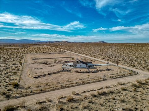 A home in Joshua Tree