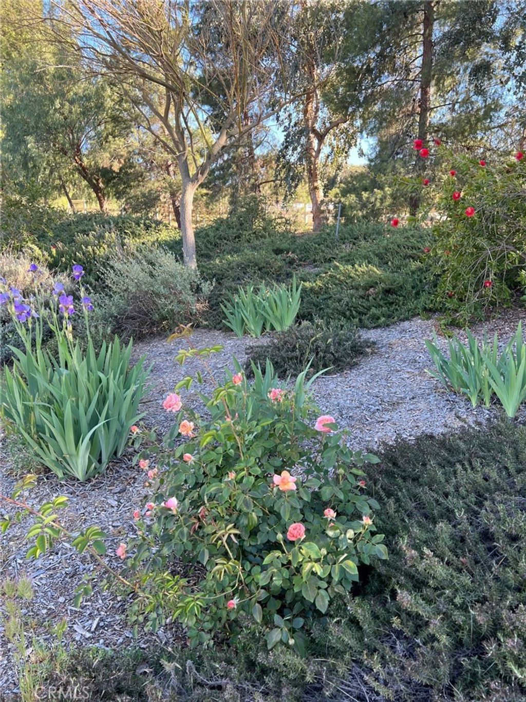 listing image 52