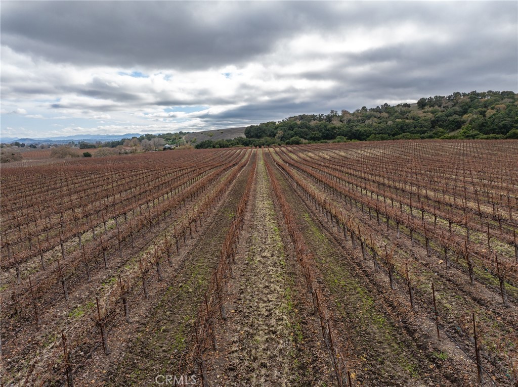 PR Rural West(250) - Residential