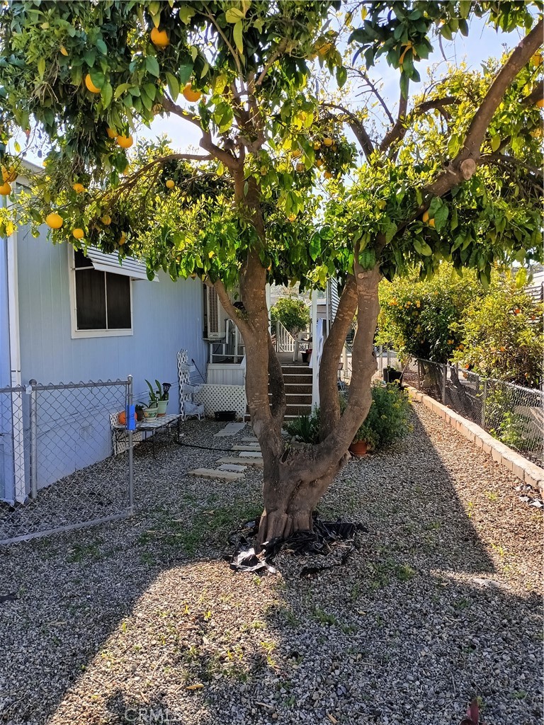 30674 Arenga Palm Drive