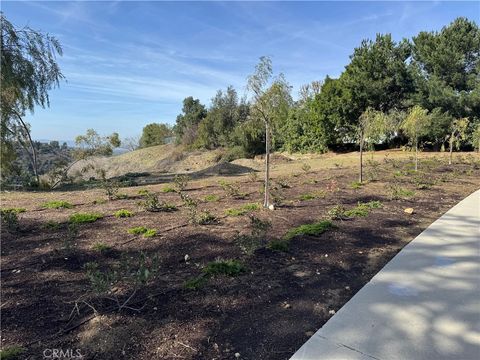1562 calle cristina San Dimas CA 91773
