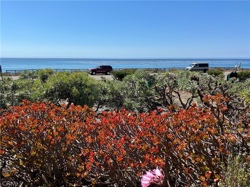 Moonstone Beach(450) - Residential