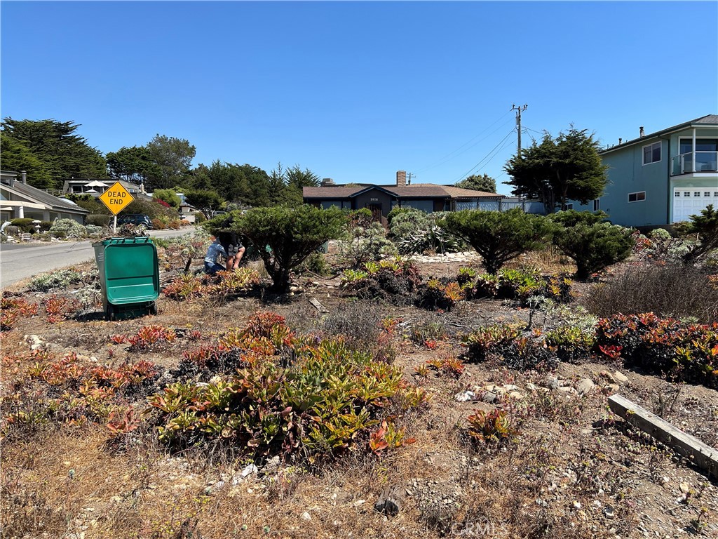 Moonstone Beach(450) - Residential