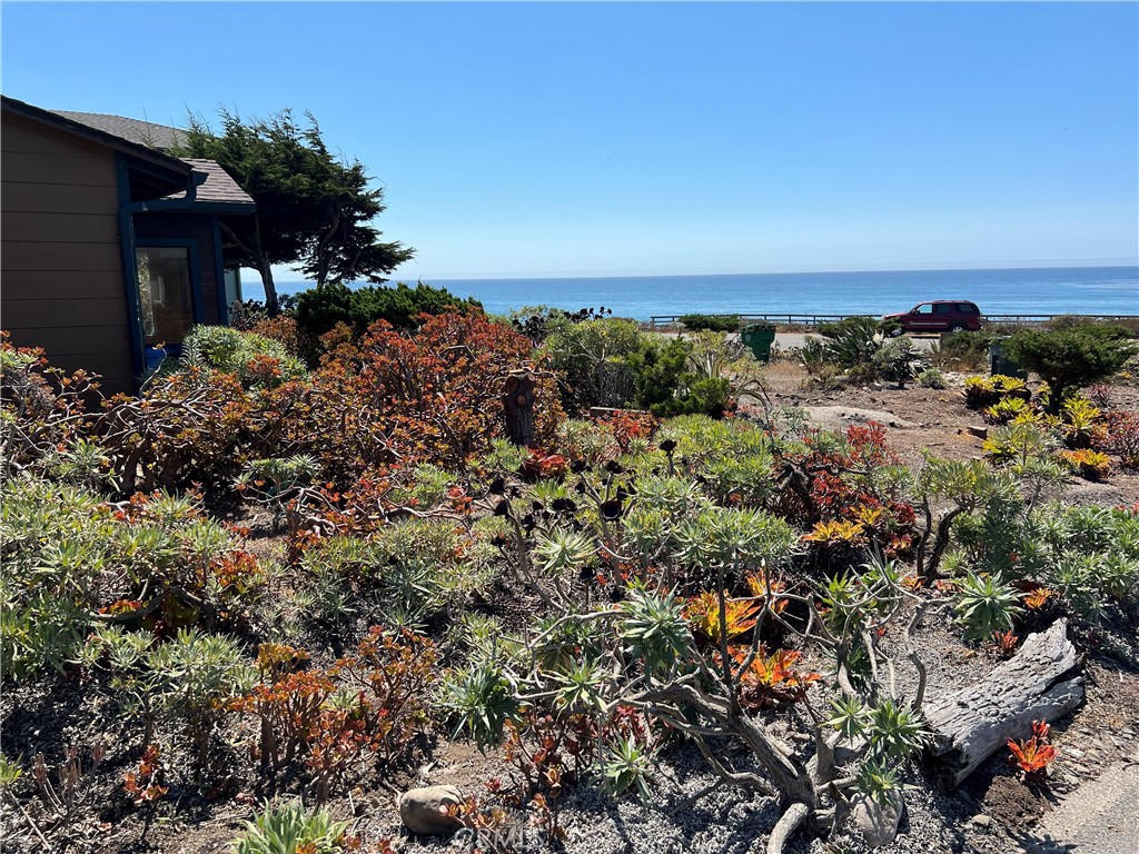 Moonstone Beach(450) - Residential