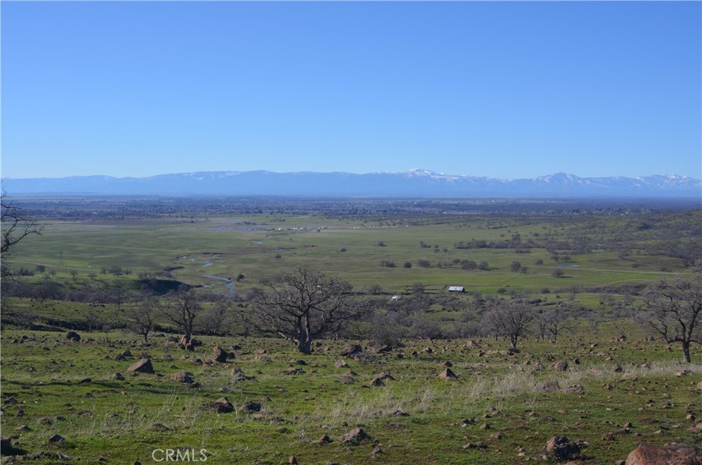 The Willard Homestead Ranch was established in the 1880’s, nearly 140 years ago. It consists of 1,183 +/- acres of winter grazing land bordered by lands typical to eastern Tehama County. The property is improved with perimeter fencing and at the ranch headquarters are located the “homestead” home, storage building, barn, set of corrals and well. The terrain to the west is open rolling hills along Little Salt Creek and to the east is steep, wooded with rocky canyon on each side of Salt Creek.