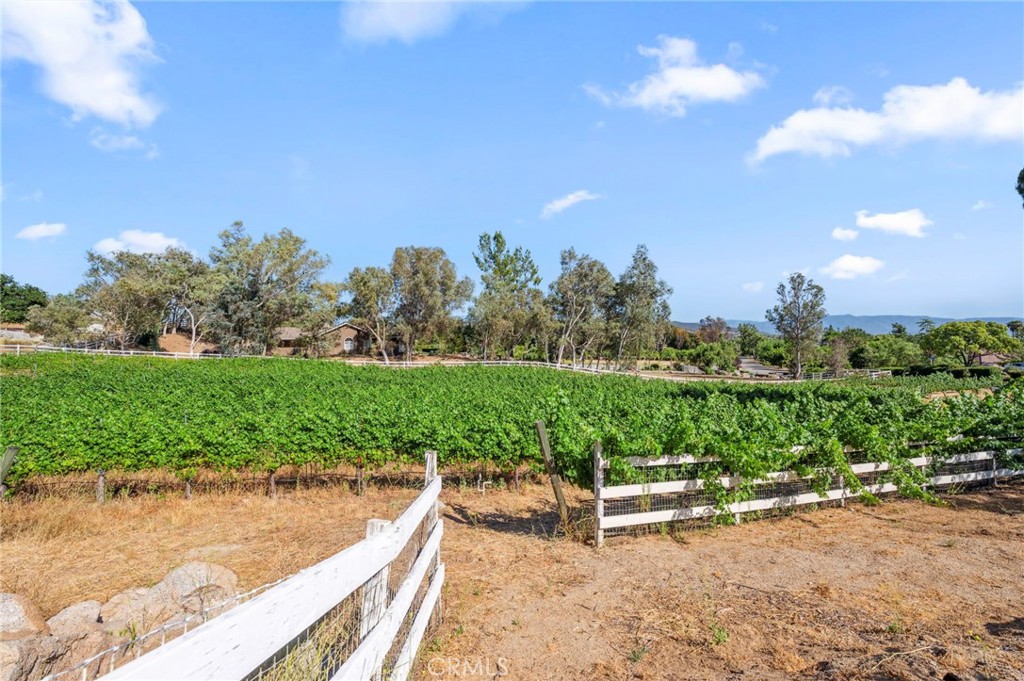 38900 Avenida Arriba