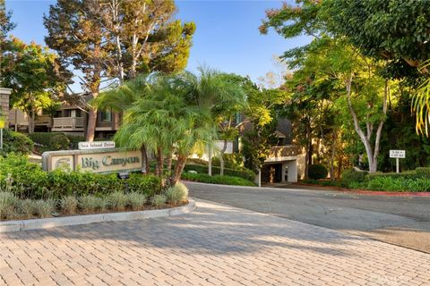 A home in Newport Beach