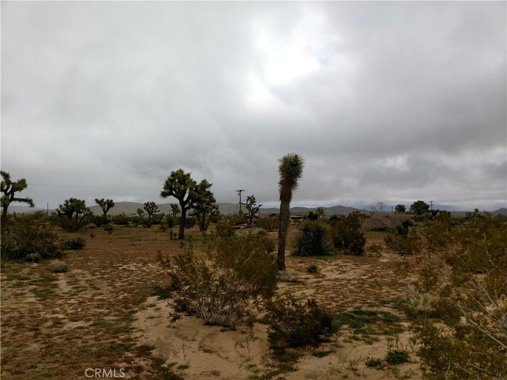 listing image 130729124152676474064