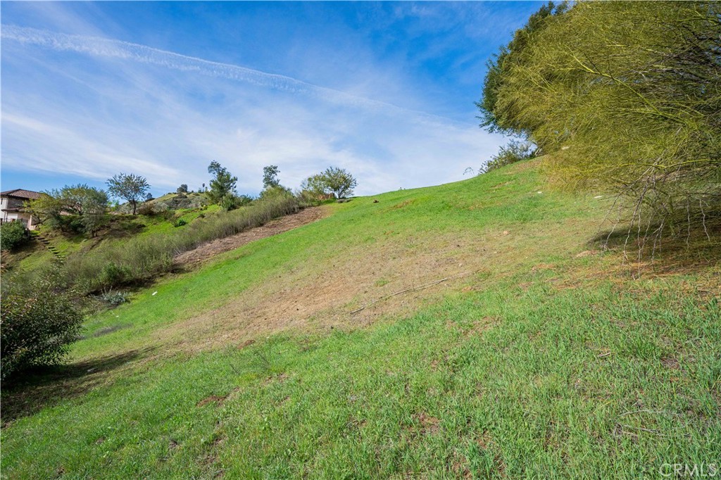 16 Holster Lane