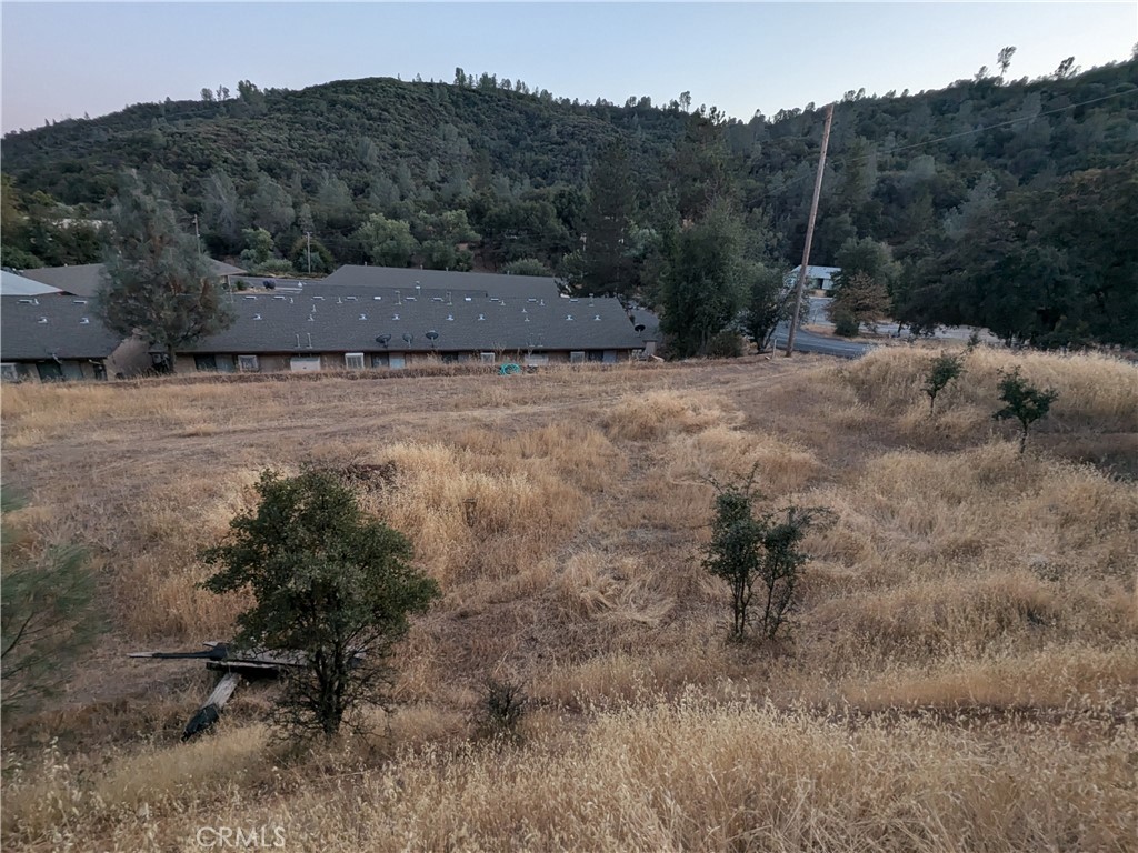 Discover a prime investment opportunity in Mariposa! This 1.12-acre parcel is zoned for Multi-Family Residential development, making it ideal for building an apartment complex or several multi-unit homes. Enjoy the convenience of town water and sewer services available at the street, plus the added benefit of your own well. With its strategic location and ample space, this property is perfect for investors looking to capitalize on the growing demand for housing in the area. Don't miss out on this promising investment!