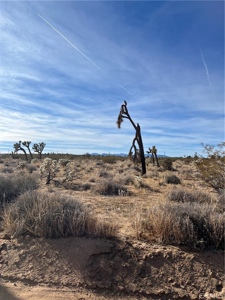 Paid water meter, 5 acres flat land with several yucca trees and joshua trees. Close to electricity, and utilities. Easy to develop or start a camp site, glamming etc. Located in Yucca Mesa area, unincorporated area, still able to do STR, no restrictions.