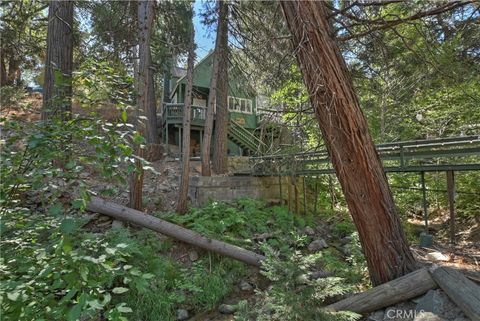 A home in Cedar Glen