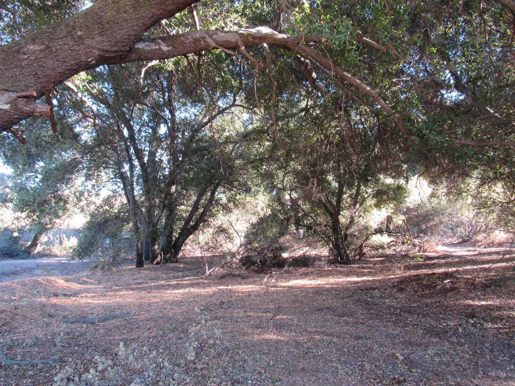 2115 N Campo Truck Trail