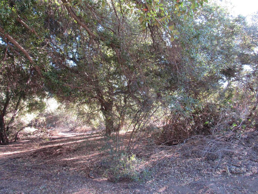 2115 N Campo Truck Trail