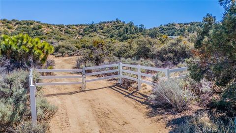Photo of 7371 Wild Horse Canyon Road, Pinon Hills, CA 92372 (MLS # IV25061531)