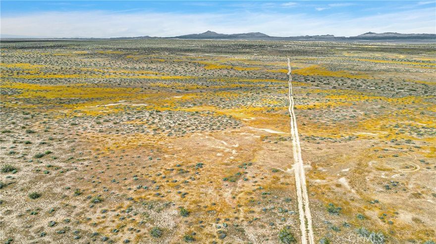 30 acres in total subdivided into three 10 acre lots. APN's 0490191310000, 0490191330000, 0490191340000. Your imagination awaits! Build your dream home off grid or have your personal 30 acres for recreational use. Never be asked to leave your camp ground again. Seller is motivated. Owner will carry!