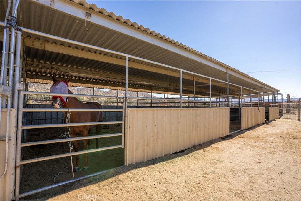 Custom Acton (CACTO) - Residential