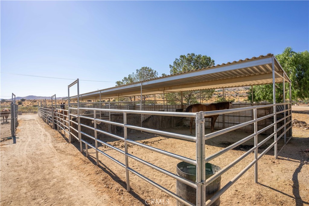 Custom Acton (CACTO) - Residential