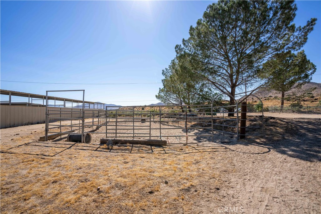 Custom Acton (CACTO) - Residential