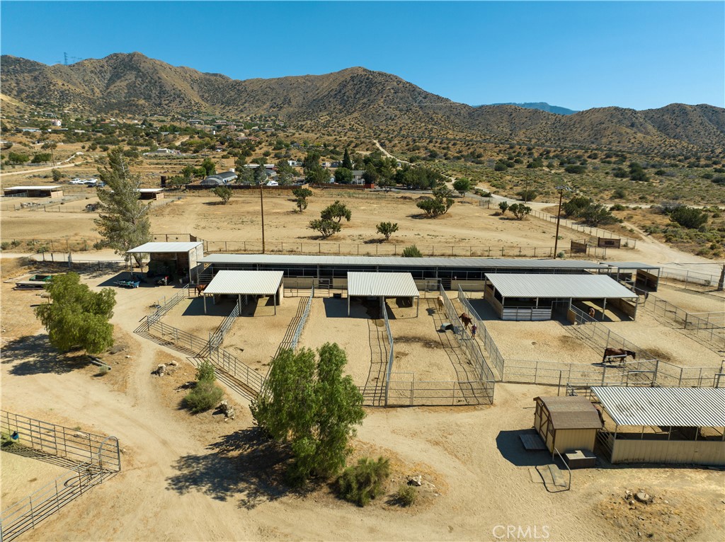 Custom Acton (CACTO) - Residential