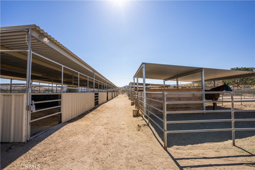 Custom Acton (CACTO) - Residential