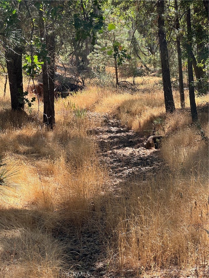 Photo 1 of 20 — 5718 E Whitlock Road, Mariposa, CA 95338