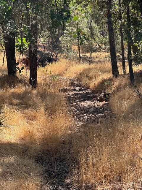 Photo of 5718 E Whitlock Road, Mariposa, CA 95338 (MLS # MP24198655)
