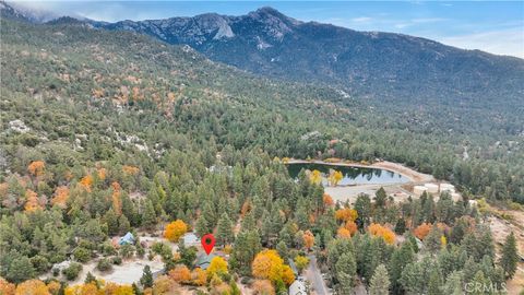 A home in Idyllwild